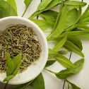 Leaf Mask® Green Tea Mint 