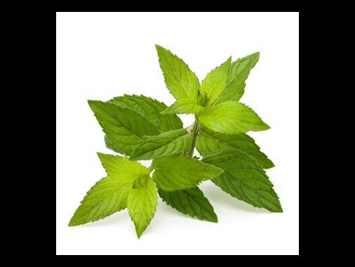 Leaf Mask® Green Tea Mint 