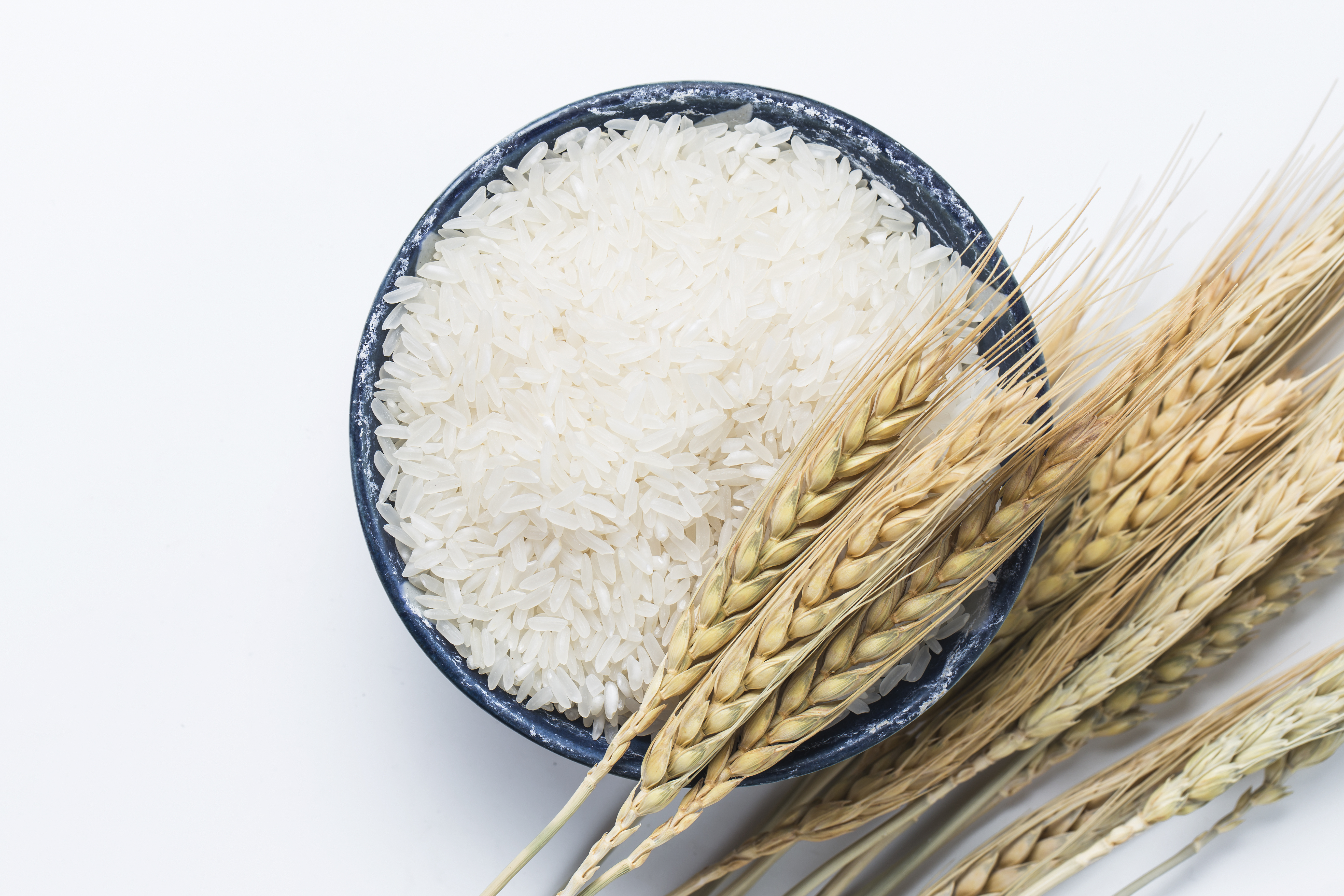Японская пшеничная. Рис Аланга. Рис басмати колосок. Рис (зерно). Колосья риса.