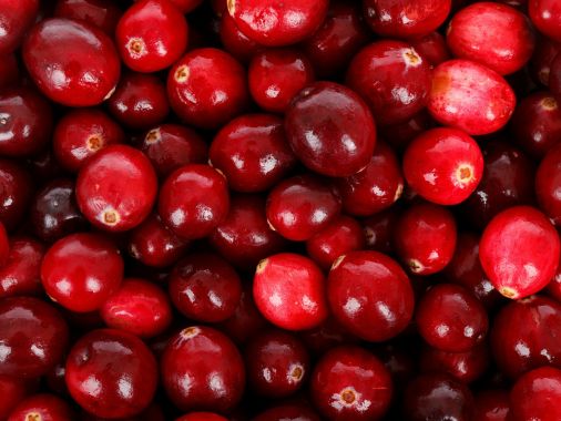 GlucoEmpreinte cranberries - Peel off mask