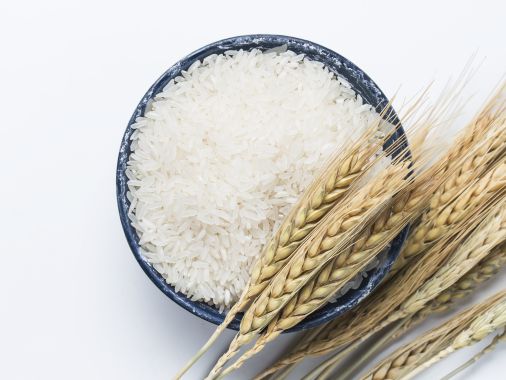 Face serum with rice