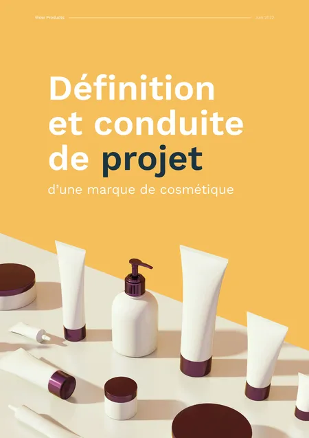 livre blanc définition et conduite de projet