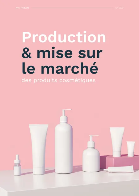 livre blanc production et mise sur le marché