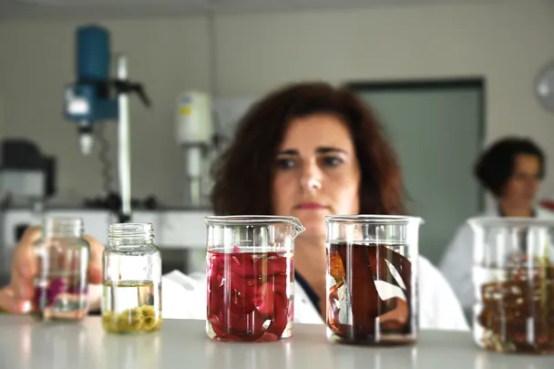 laboratoire