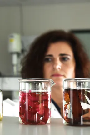 laboratoire