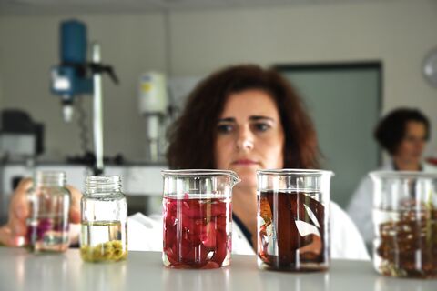 laboratoire