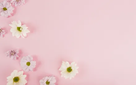 Fleurs utilisées dans la lotion dynamisante 