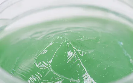 Zoom sur la texture de notre enveloppement essentiel détox. D'une belle couleur verte, sa texture filmogène active enveloppe délicatement le corps tout entier.