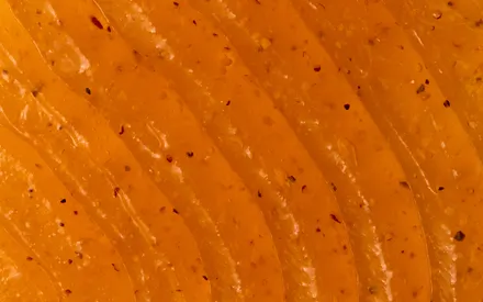 hoto texture de notre gommage figue-datte, avec les particules exfoliantes visibles dans ce gel orangé.